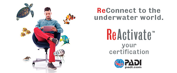 ReActivate your Certification