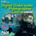 PADI Digital Underwater Photographer Online Class