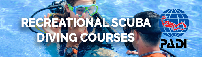 Recreational SCUBA Diving Courses