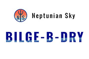 BILGE-B-DRY Dual Pump - 24VDC [BBD-2025-242]