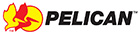 Pelican 1556 Air Case